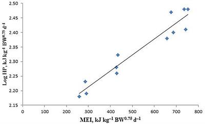 Energy and Protein Requirements for the Maintenance of Growing Male Sika Deer (Cervus nippon)